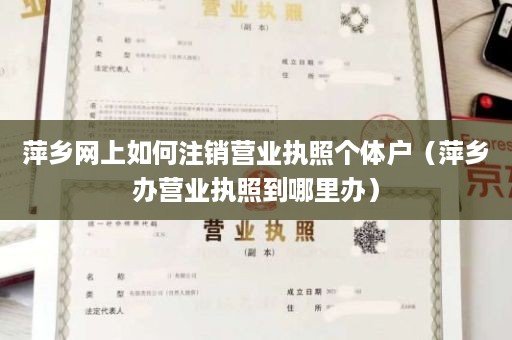 萍乡网上如何注销营业执照个体户（萍乡办营业执照到哪里办）