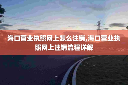 海口营业执照网上怎么注销,海口营业执照网上注销流程详解