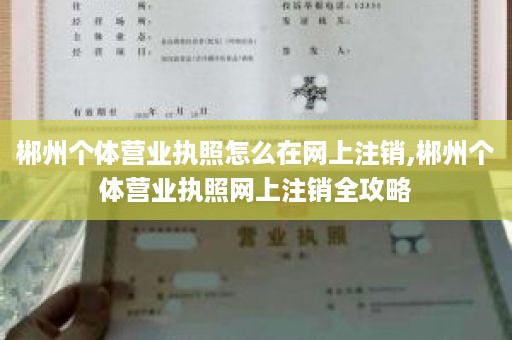 郴州个体营业执照怎么在网上注销,郴州个体营业执照网上注销全攻略