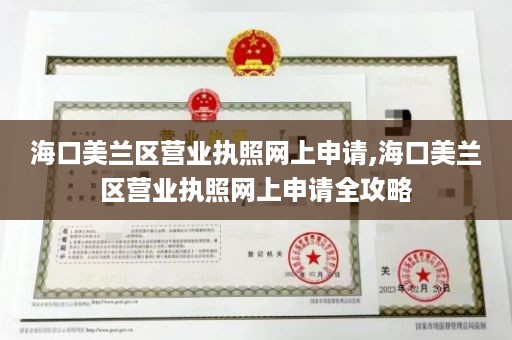 海口美兰区营业执照网上申请,海口美兰区营业执照网上申请全攻略