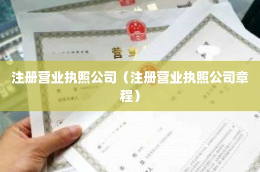 注册营业执照公司（注册营业执照公司章程）