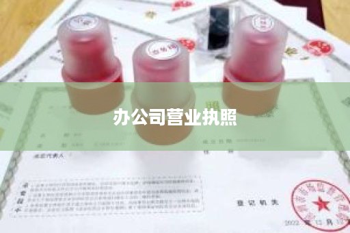 办公司营业执照