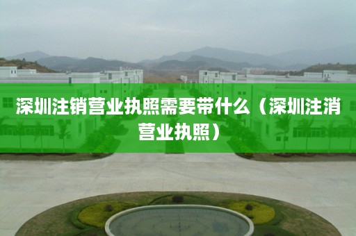 深圳注销营业执照需要带什么（深圳注消营业执照）
