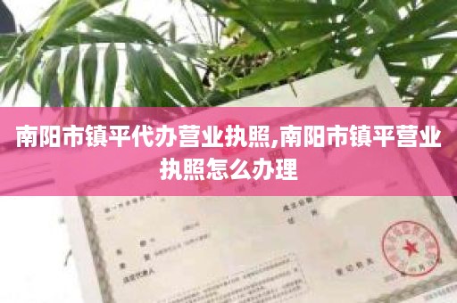 南阳市镇平代办营业执照,南阳市镇平营业执照怎么办理