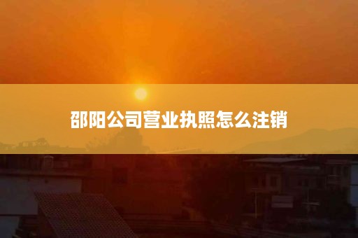 邵阳公司营业执照怎么注销