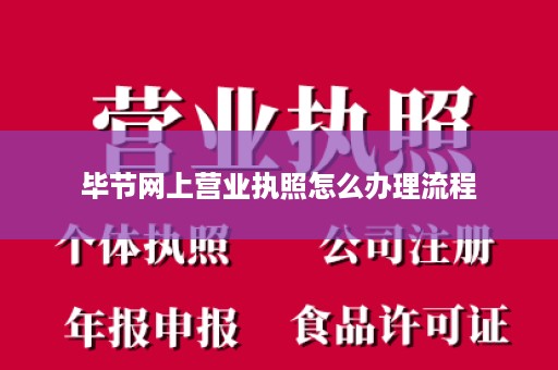 毕节网上营业执照怎么办理流程