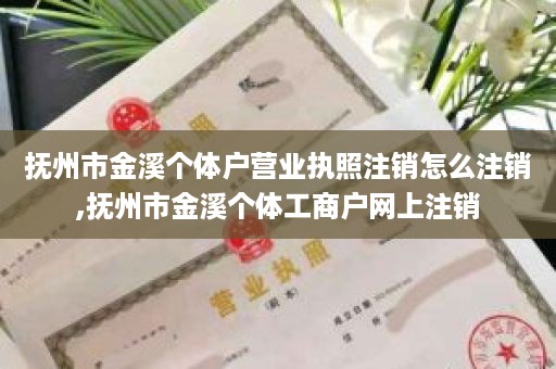 抚州市金溪个体户营业执照注销怎么注销,抚州市金溪个体工商户网上注销