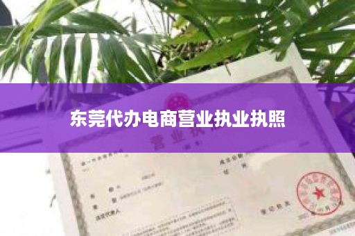 东莞代办电商营业执业执照