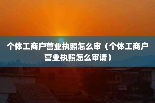 个体工商户营业执照怎么审（个体工商户营业执照怎么审请）