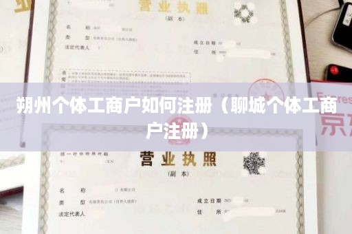 朔州个体工商户如何注册（聊城个体工商户注册）