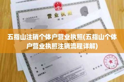 五指山注销个体户营业执照(五指山个体户营业执照注销流程详解)