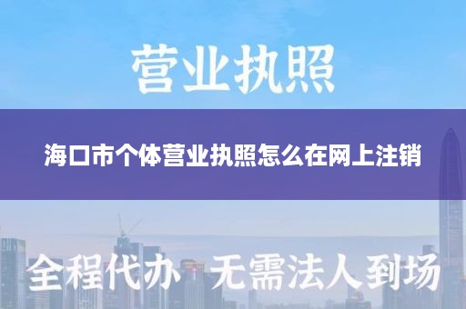 海口市个体营业执照怎么在网上注销