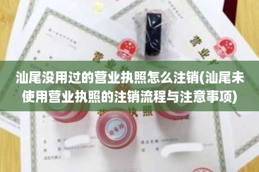 汕尾没用过的营业执照怎么注销(汕尾未使用营业执照的注销流程与注意事项)