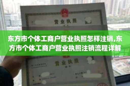 东方市个体工商户营业执照怎样注销,东方市个体工商户营业执照注销流程详解