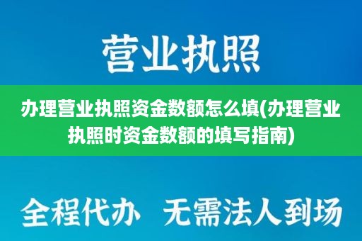 办理营业执照资金数额怎么填(办理营业执照时资金数额的填写指南)