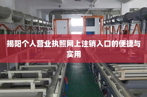 揭阳个人营业执照网上注销入口的便捷与实用