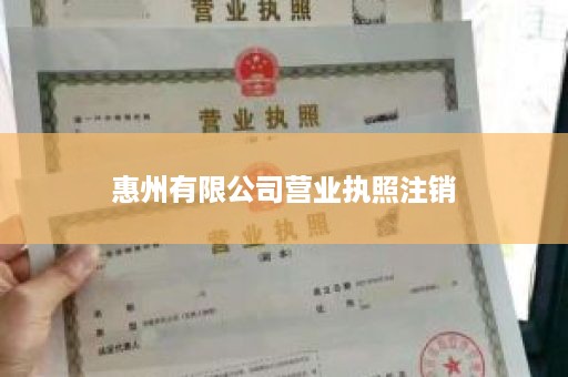 惠州有限公司营业执照注销