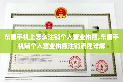 东营手机上怎么注销个人营业执照,东营手机端个人营业执照注销流程详解