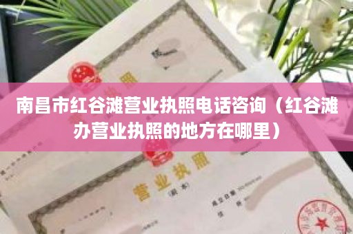 南昌市红谷滩营业执照电话咨询（红谷滩办营业执照的地方在哪里）