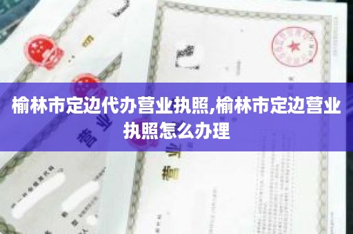 榆林市定边代办营业执照,榆林市定边营业执照怎么办理