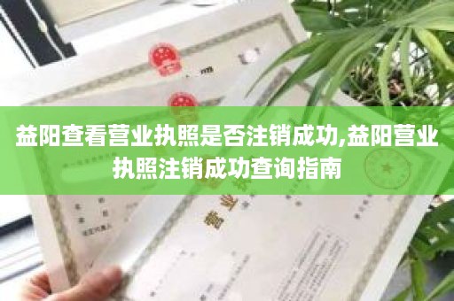 益阳查看营业执照是否注销成功,益阳营业执照注销成功查询指南