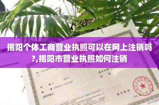 揭阳个体工商营业执照可以在网上注销吗?,揭阳市营业执照如何注销