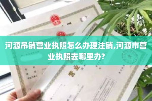 河源吊销营业执照怎么办理注销,河源市营业执照去哪里办?