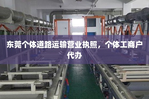 东莞个体道路运输营业执照，个体工商户代办