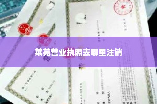 莱芜营业执照去哪里注销