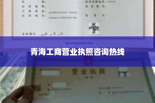 青海工商营业执照咨询热线