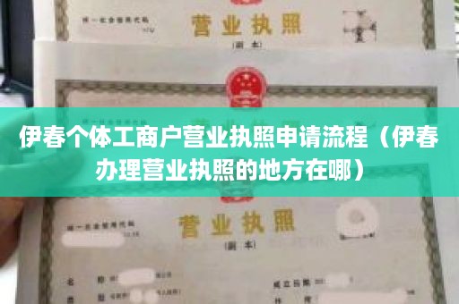 伊春个体工商户营业执照申请流程（伊春办理营业执照的地方在哪）