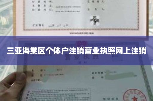 三亚海棠区个体户注销营业执照网上注销