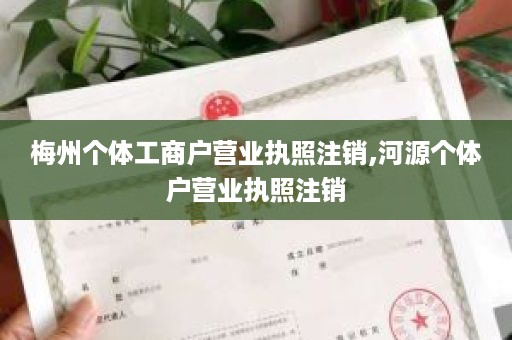 梅州个体工商户营业执照注销,河源个体户营业执照注销