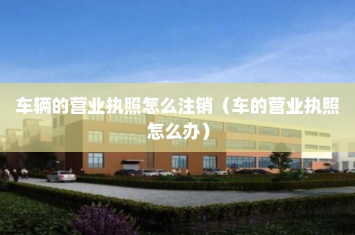 车辆的营业执照怎么注销（车的营业执照怎么办）