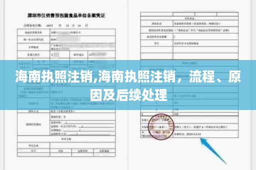 海南执照注销,海南执照注销，流程、原因及后续处理