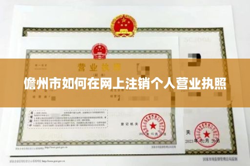 儋州市如何在网上注销个人营业执照