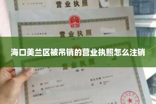 海口美兰区被吊销的营业执照怎么注销