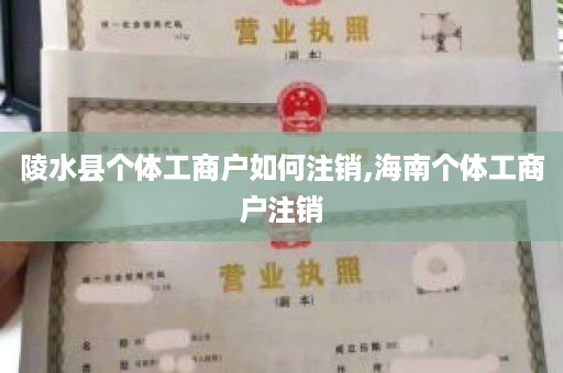 陵水县个体工商户如何注销,海南个体工商户注销