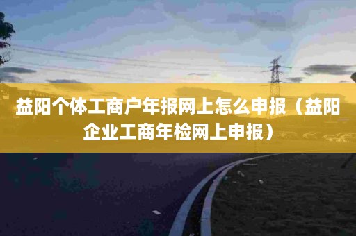 益阳个体工商户年报网上怎么申报（益阳企业工商年检网上申报）