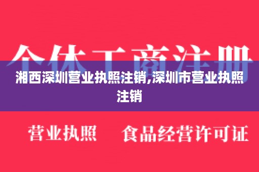 湘西深圳营业执照注销,深圳市营业执照注销