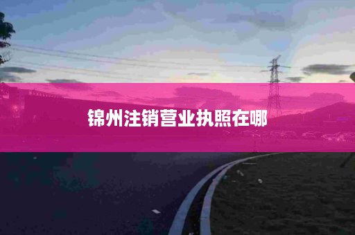 锦州注销营业执照在哪