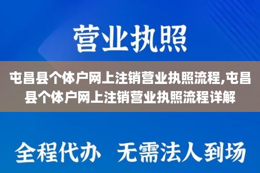 屯昌县个体户网上注销营业执照流程,屯昌县个体户网上注销营业执照流程详解