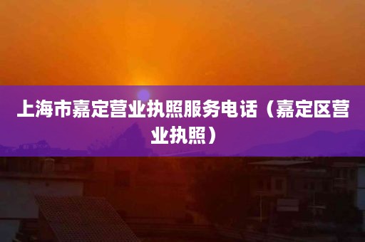上海市嘉定营业执照服务电话（嘉定区营业执照）