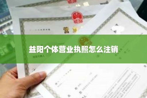 益阳个体营业执照怎么注销