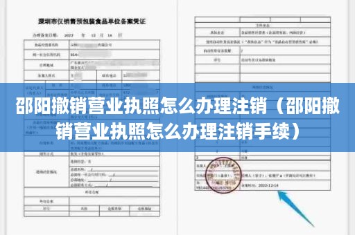 邵阳撤销营业执照怎么办理注销（邵阳撤销营业执照怎么办理注销手续）