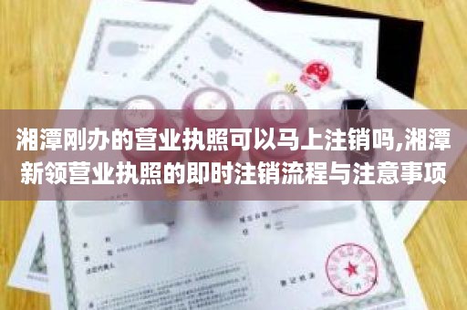 湘潭刚办的营业执照可以马上注销吗,湘潭新领营业执照的即时注销流程与注意事项