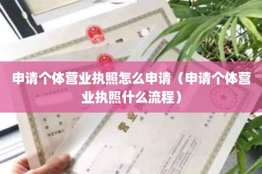申请个体营业执照怎么申请（申请个体营业执照什么流程）