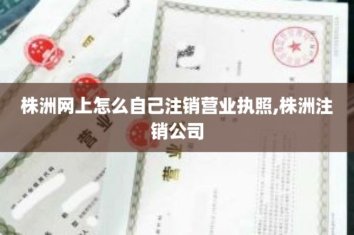 株洲网上怎么自己注销营业执照,株洲注销公司
