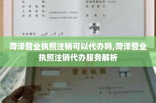 菏泽营业执照注销可以代办吗,菏泽营业执照注销代办服务解析