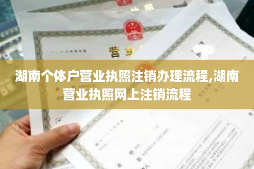 湖南个体户营业执照注销办理流程,湖南营业执照网上注销流程